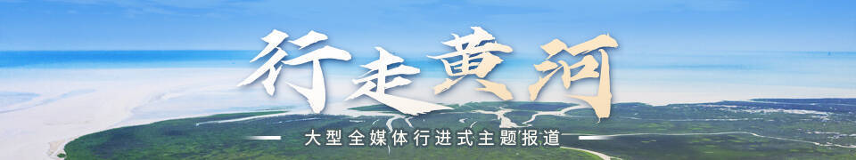 先行｜盐碱滩涂变身“绿电场”凯发k8登录大省挑大梁·绿色